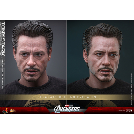 Marvel Tony Stark (Mark VII Suit-Up Version) 1:6 Scale Figure Hot Toys 912584 MMS718