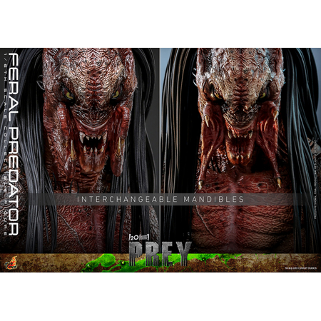 Prey - Feral Predator Figurine Échelle 1:6 Hot Toys 912662 TMS114