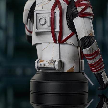 Star Wars: Ahsoka - Night Trooper 1:6 Scale Mini Bust Gentle Giant 85246