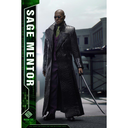 Matrix Sage Mentor 1:6 Scale Figure Present Toys PT-76