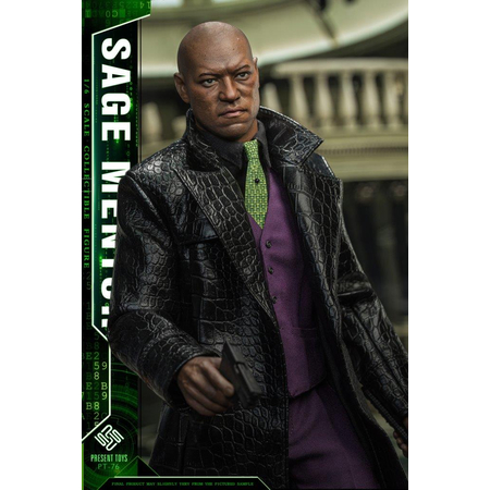 Matrix Sage Mentor 1:6 Scale Figure Present Toys PT-76