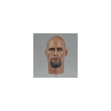 Dwayne Johnson - The Rock 1:6 scale head by HeadPlay