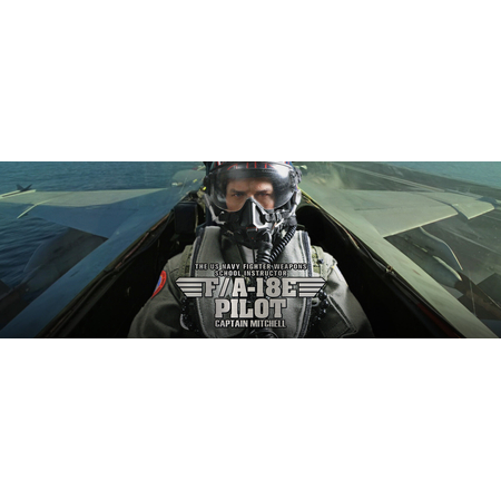 US Navy Fighter Weapons School Instructor F/A-18E Pilot – Captain Mitchell DID MA80170