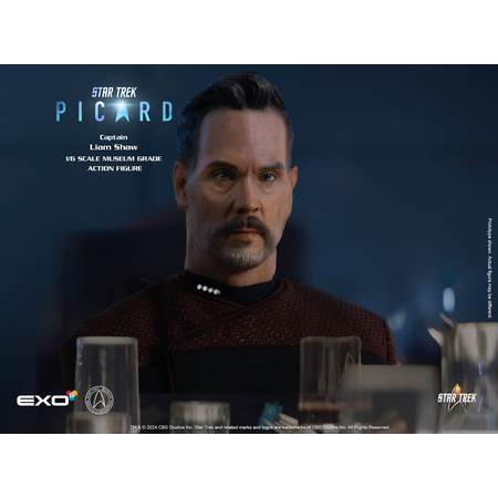 Star Trek: Picard - Capitaine Liam Shaw Figurine Échelle 1:6 EXO-6 (913328)