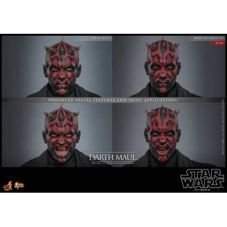 Star Wars Episode I: The Phantom Menace - Darth Maul 1:6 Scale Figure Hot Toys 913363