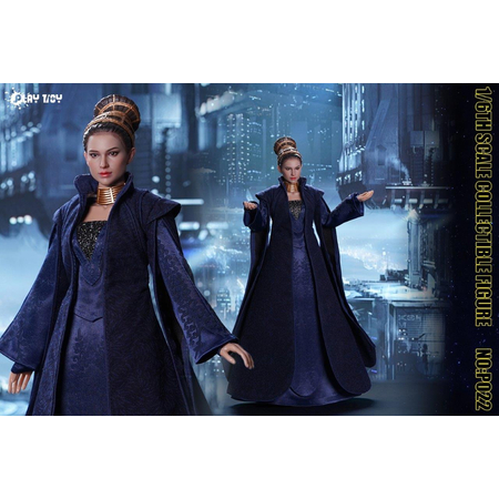 Galaxy Senator 1:6 Scale Action Figure PlayToy PT-P022