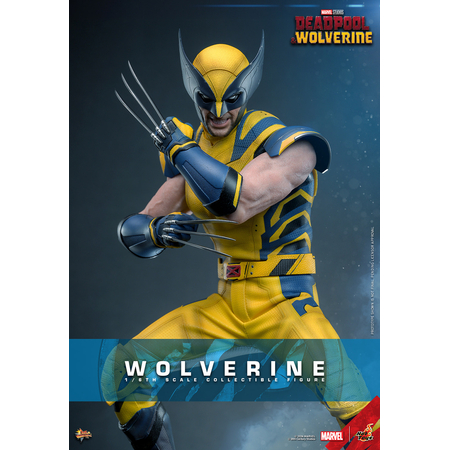 Marvel Wolverine (from Deadpool & Wolverine movie) REGULAR VERSION 1:6 Scale Figure Hot Toys 913487 MMS753