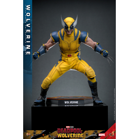Marvel Wolverine (du film Deadpool & Wolverine) VERSION RÉGULIÈRE Figurine Échelle 1:6 Hot Toys 913487 MMS753