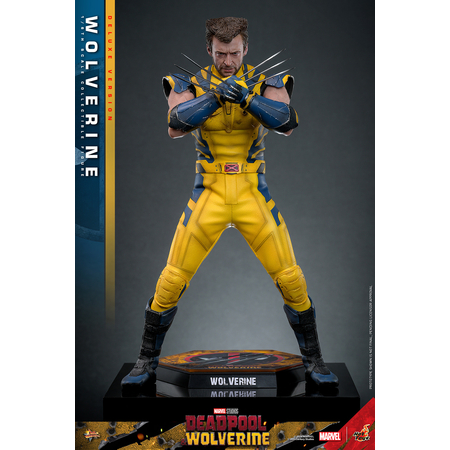 Marvel Wolverine (du film Deadpool & Wolverine) VERSION DE LUXE Figurine Échelle 1:6 Hot Toys 9134872 MMS754