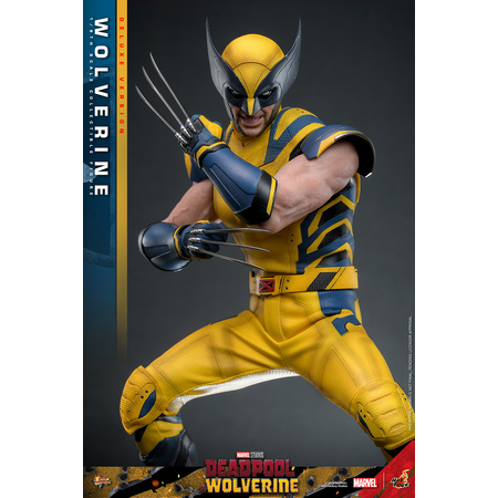 Marvel Wolverine (du film Deadpool & Wolverine) VERSION DE LUXE Figurine Échelle 1:6 Hot Toys 9134872 MMS754
