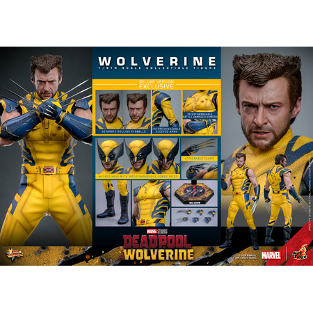 Marvel Wolverine (du film Deadpool & Wolverine) VERSION DE LUXE Figurine Échelle 1:6 Hot Toys 9134872 MMS754
