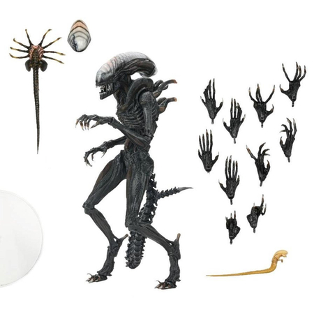 Alien: Romulus Ultimate Scorched Xenomorph Figurine Échelle 7 pouces NECA 51741