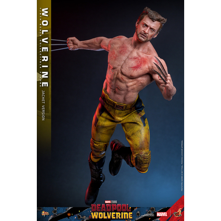 Marvel Wolverine (du film Deadpool & Wolverine) VERSION MANTEAU TVA figurine Échelle 1:6 Hot Toys 913607 MMS756