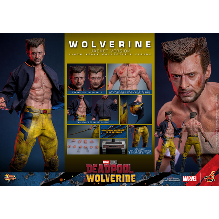 Marvel Wolverine (from Deadpool & Wolverine movie) 1:6 TVA JACKET VERSION Scale Figure Hot Toys 913607