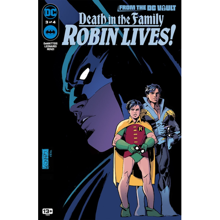 Death in the Family: Robin Lives #3 DC Comics