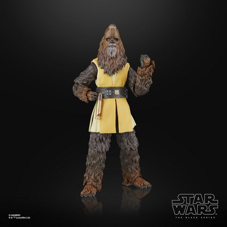 Star Wars The Black Series Jedi Master Kelnacca 6-inch scale action figure Hasbro G0655