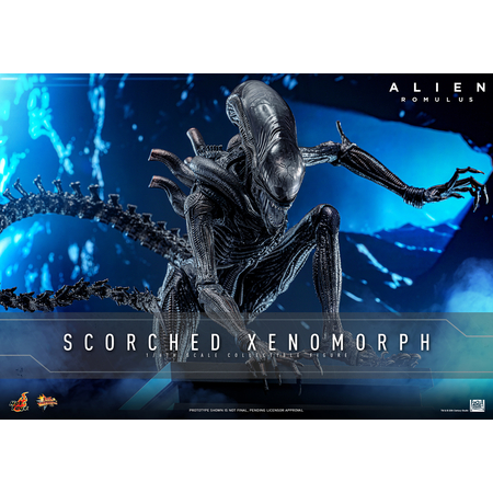 Alien Scorched Xenomorph 1:6 Scale Figure Hot Toys MMS784 913989