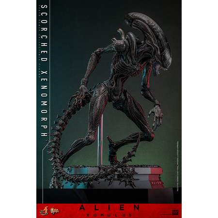 Alien Scorched Xenomorph 1:6 Scale Figure Hot Toys MMS784 913989