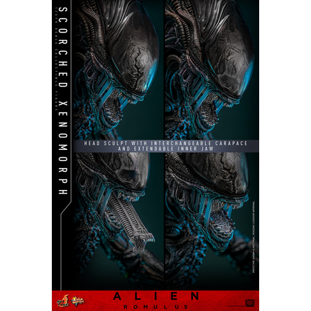 Alien Scorched Xenomorph 1:6 Scale Figure Hot Toys MMS784 913989