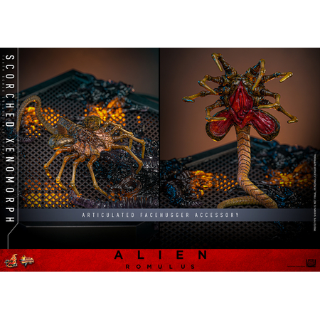 Alien Scorched Xenomorph 1:6 Scale Figure Hot Toys MMS784 913989