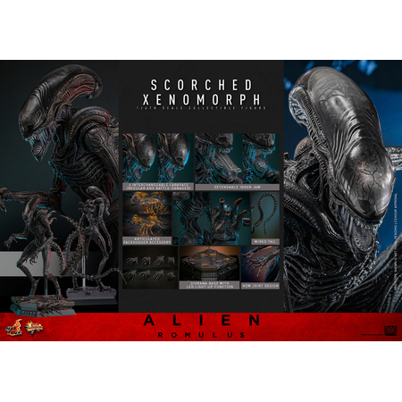 Alien Scorched Xenomorph 1:6 Scale Figure Hot Toys MMS784 913989
