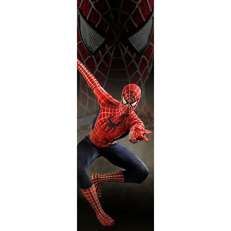 Marvel Spider-Man 3 - 1:6 scale figure Hot Toys MMS143 (901248)