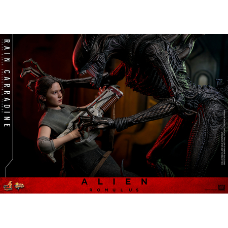 Alien: Romulus Rain Carradine 1:6 Scale Figure Hot Toys MMS793 914037