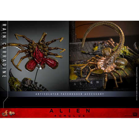 Alien: Romulus Rain Carradine 1:6 Scale Figure Hot Toys MMS793 914037