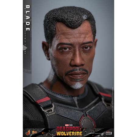 Marvel Blade (from Deadpool & Wolverine movie) 1:6 Scale Figure Hot Toys MMS791 913953