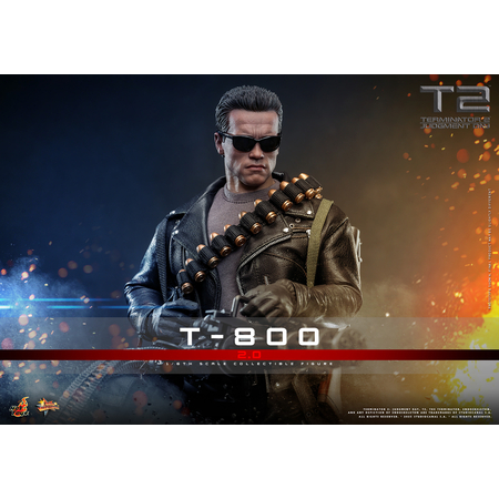 Terminator 2: Judgment Day T-800 (2_0) 1:6 Scale Figure Hot Toys MMS795 913842