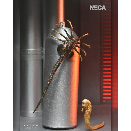 Alien: Romulus Ultimate Xenomorph XX121 7-Inch Scale Action Figure NECA 51742