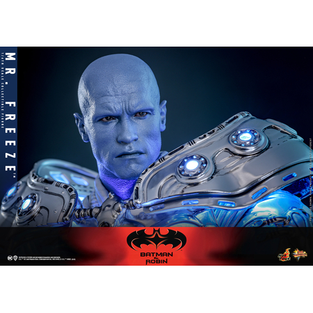 DC Mr Freeze Édition Collectionneur Figurine Échelle 1:6 Hot Toys MMS799 914279