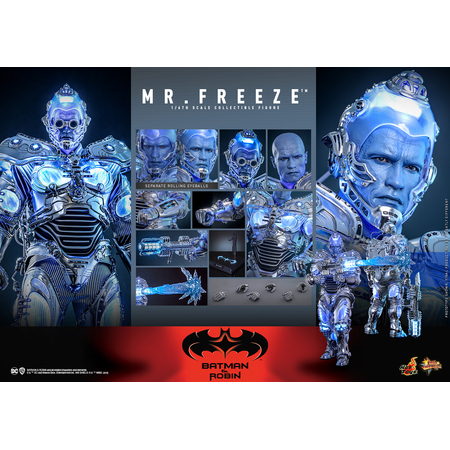 DC Mr Freeze Collector Edition 1:6 Scale Figure Hot Toys MMS799 914279