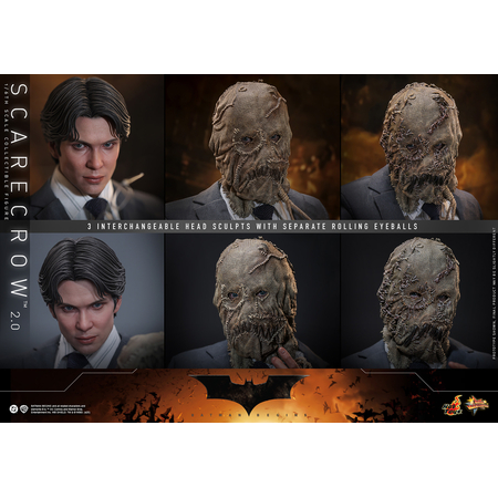 DC Scarecrow (2_0) 1:6 Scale Figure Hot Toys MMS801 913848