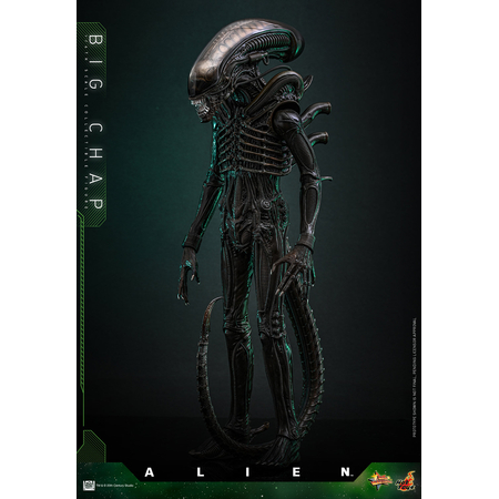 Alien Big Chap 1:6 Scale Figure Hot Toys MMS826 914712