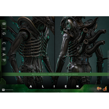 Alien Big Chap 1:6 Figurine Échelle 1:6 Hot Toys MMS826 914712