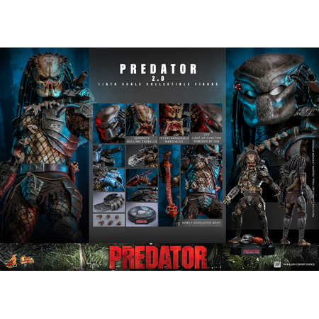 Predator 2_0 (1987) 1:6 Scale Figure Hot Toys MMS816 913665