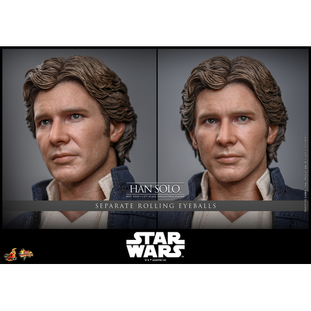 Star Wars: The Empire Strikes Back Han Solo 1:6 Scale Figure Hot Toys MMS846 915015 Star Wars: The Empire Strikes Back Han Solo 1:6 Scale Figure Hot Toys MMS846 915015
