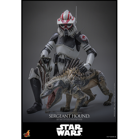 Star Wars: The Clone Wars Sergeant Hound 1:6 Scale Figure Hot Toys TMS167 914785