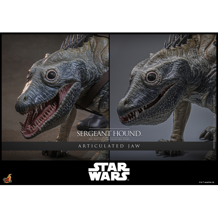 Star Wars: The Clone Wars Sergeant Hound 1:6 Scale Figure Hot Toys TMS167 914785