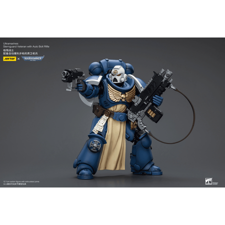 Warhammer 40K Ultramarines Sternguard Veteran with Auto Bolt Rifle Action Figure Joytoy JT9824