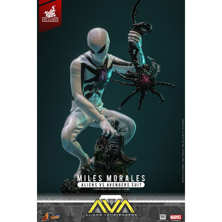 Marvel Miles Morales (Costume Aliens Vs Avengers Suit) Édition Limitée Figurine Échelle 1:6 Hot Toys CMS027 914881