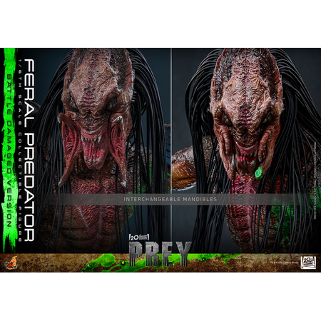 Feral Predator (Battle Damaged Version) 1:6 Scale Figure Hot Toys TMS173 915173