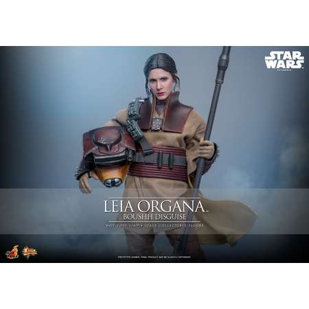 Star Wars: Le Retour du Jedi Leia Organa (Uniforme Boushh) Figurine Échelle 1:6 Hot Toys MMS854 915127