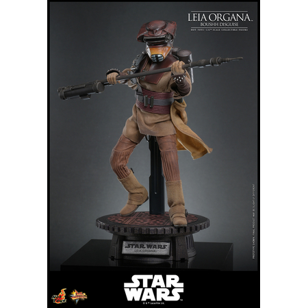 Star Wars: Le Retour du Jedi Leia Organa (Uniforme Boushh) Figurine Échelle 1:6 Hot Toys MMS854 915127
