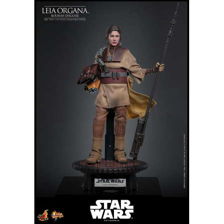 Star Wars: Le Retour du Jedi Leia Organa (Uniforme Boushh) Figurine Échelle 1:6 Hot Toys MMS854 915127