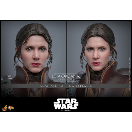 Star Wars: Le Retour du Jedi Leia Organa (Uniforme Boushh) Figurine Échelle 1:6 Hot Toys MMS854 915127