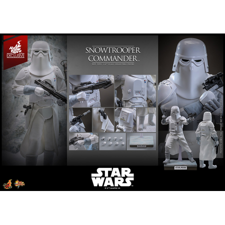 Star Wars: L'Empire Contre-Attaque Commandant des Snowtrooper Figurine Échelle 1:6 Hot Toys MMS835 915043