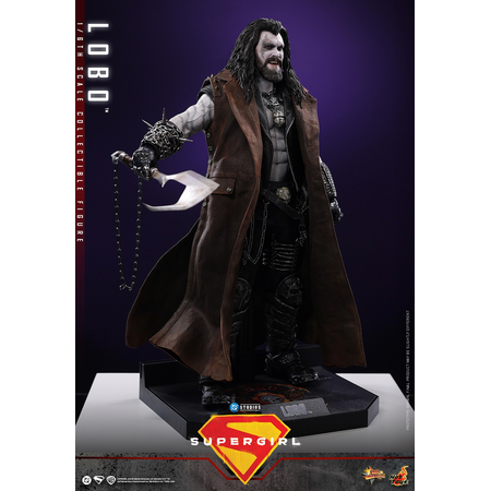 DC Lobo 1:6 Scale Collectible Figure Hot Toys MMS890 915708