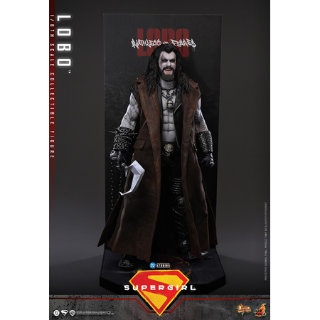 DC Lobo 1:6 Scale Collectible Figure Hot Toys MMS890 915708